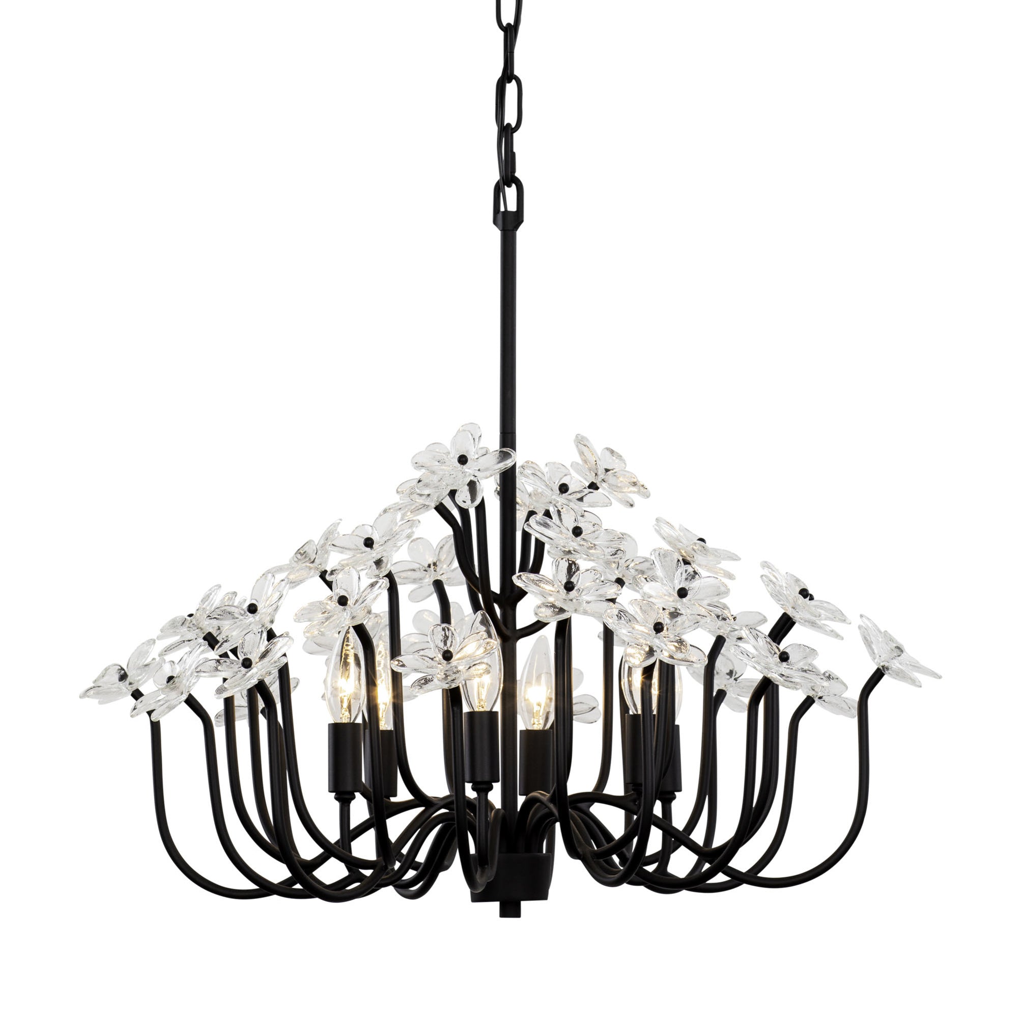 Wildflower 6 Light Chandelier - Matte Black