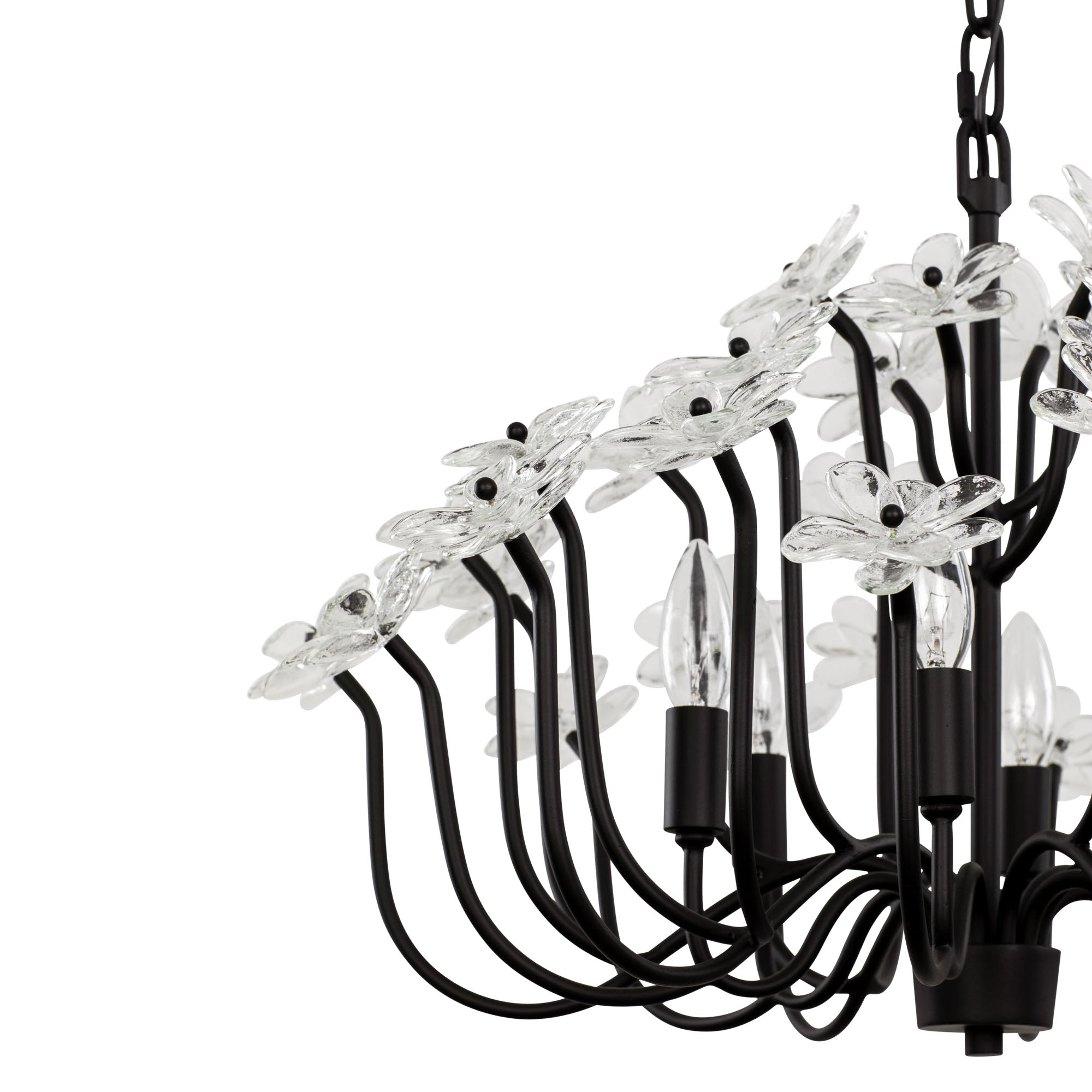 Wildflower 378C06MB 6-Lt Chandelier - Matte Black