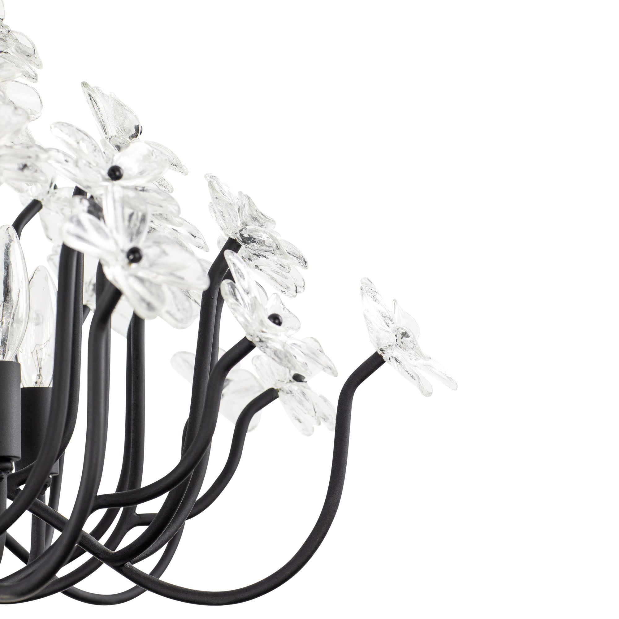 Wildflower 8 Light Chandelier - Matte Black