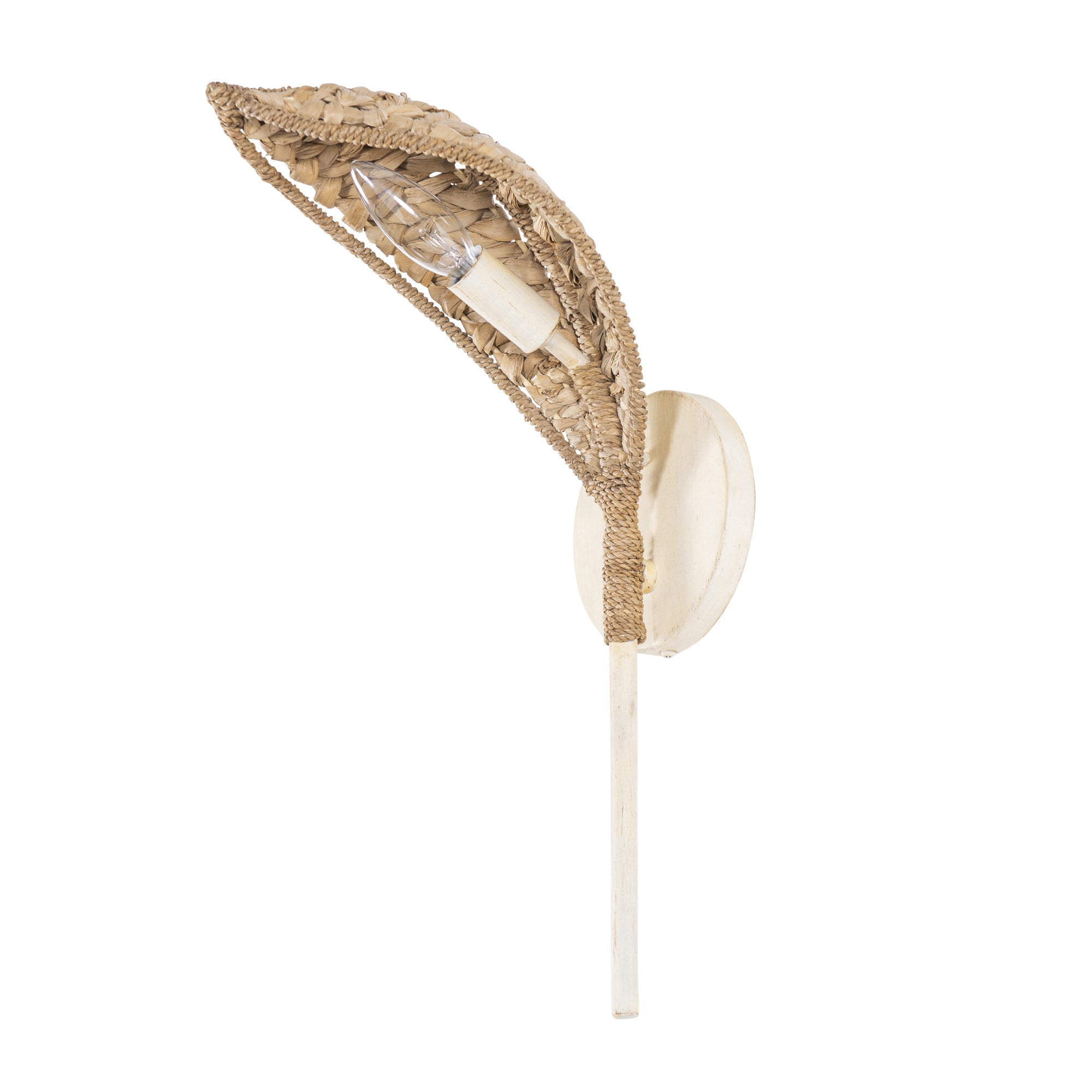 Century Palm 1 Light Sconce - Country White