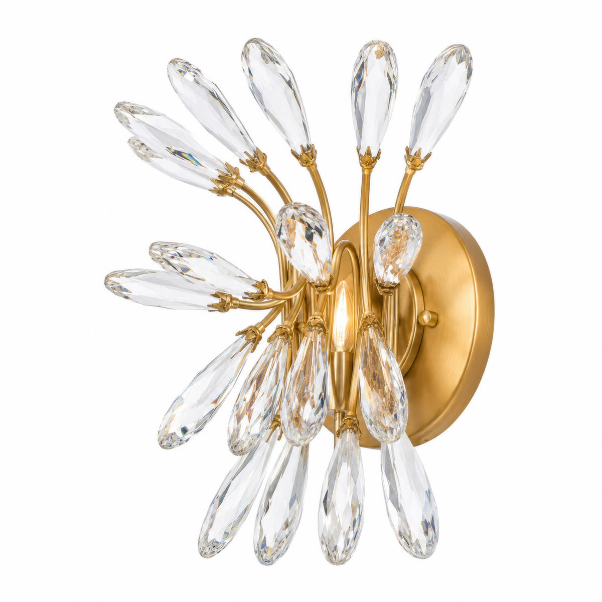 The Royal Treatment 1 Light Wall Sconce - Brass Kisser