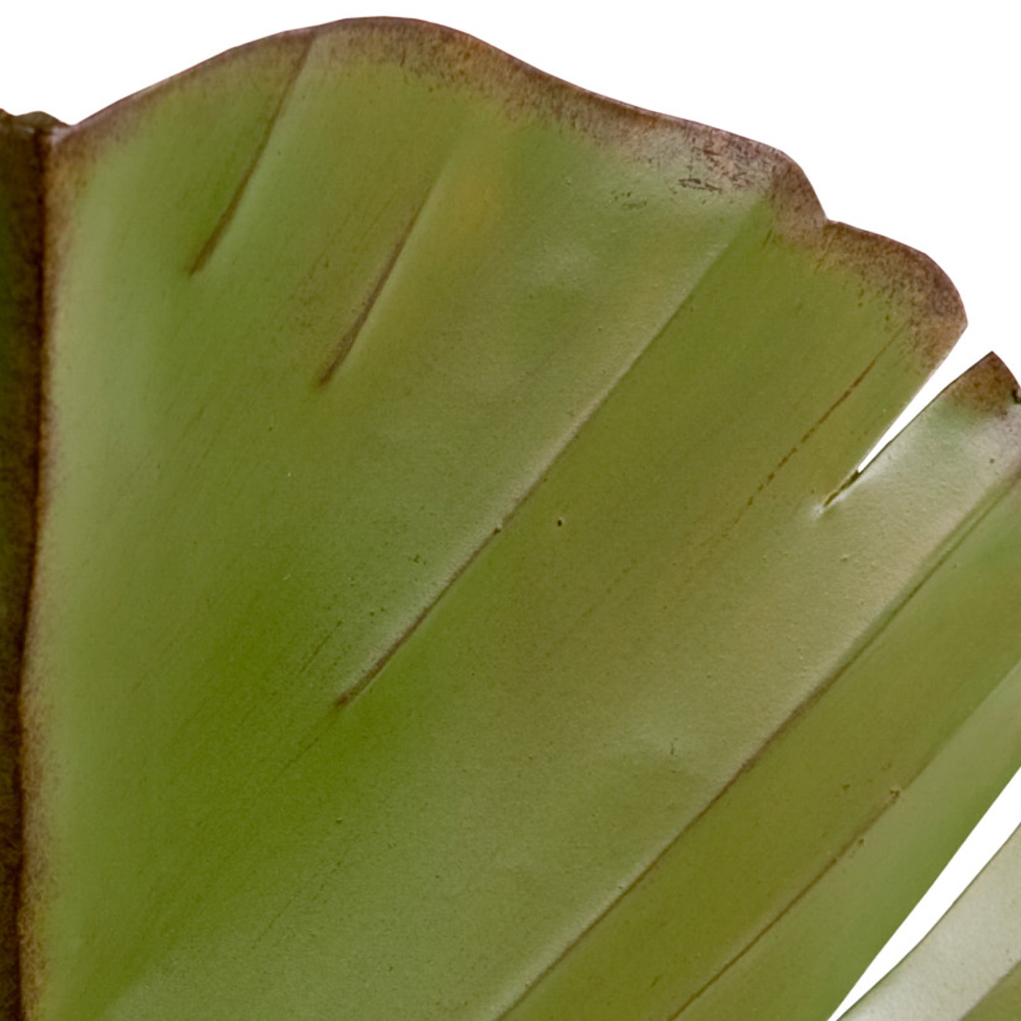 Banana Leaf 2 Light Sconce