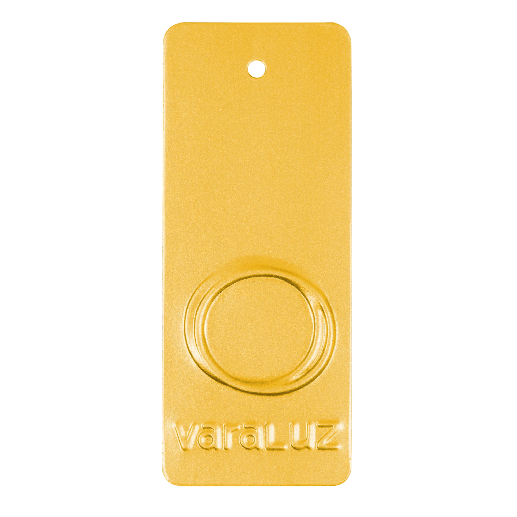 Carlton 24x50 Mirror - Gold