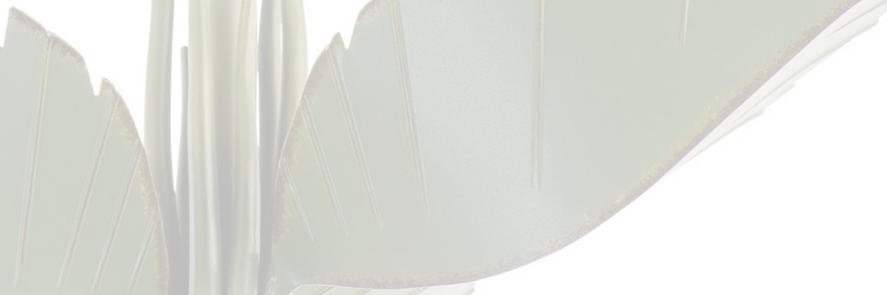 Explore Semi-Flush Mounts