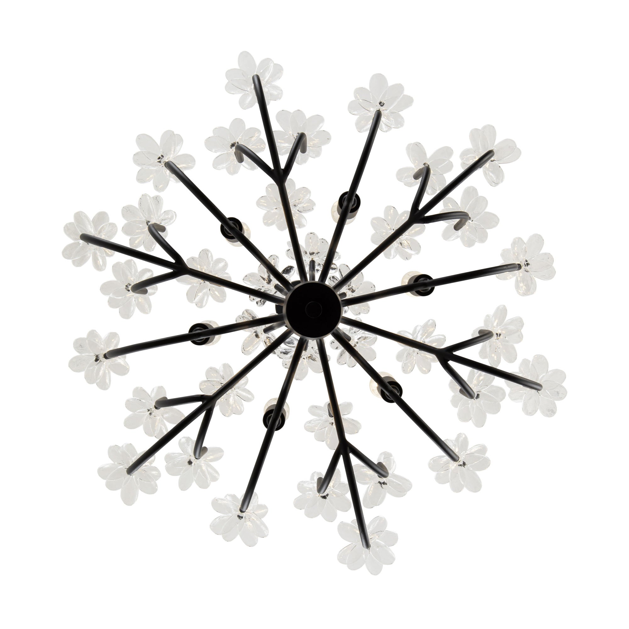 Wildflower 6 Light Chandelier - Matte Black