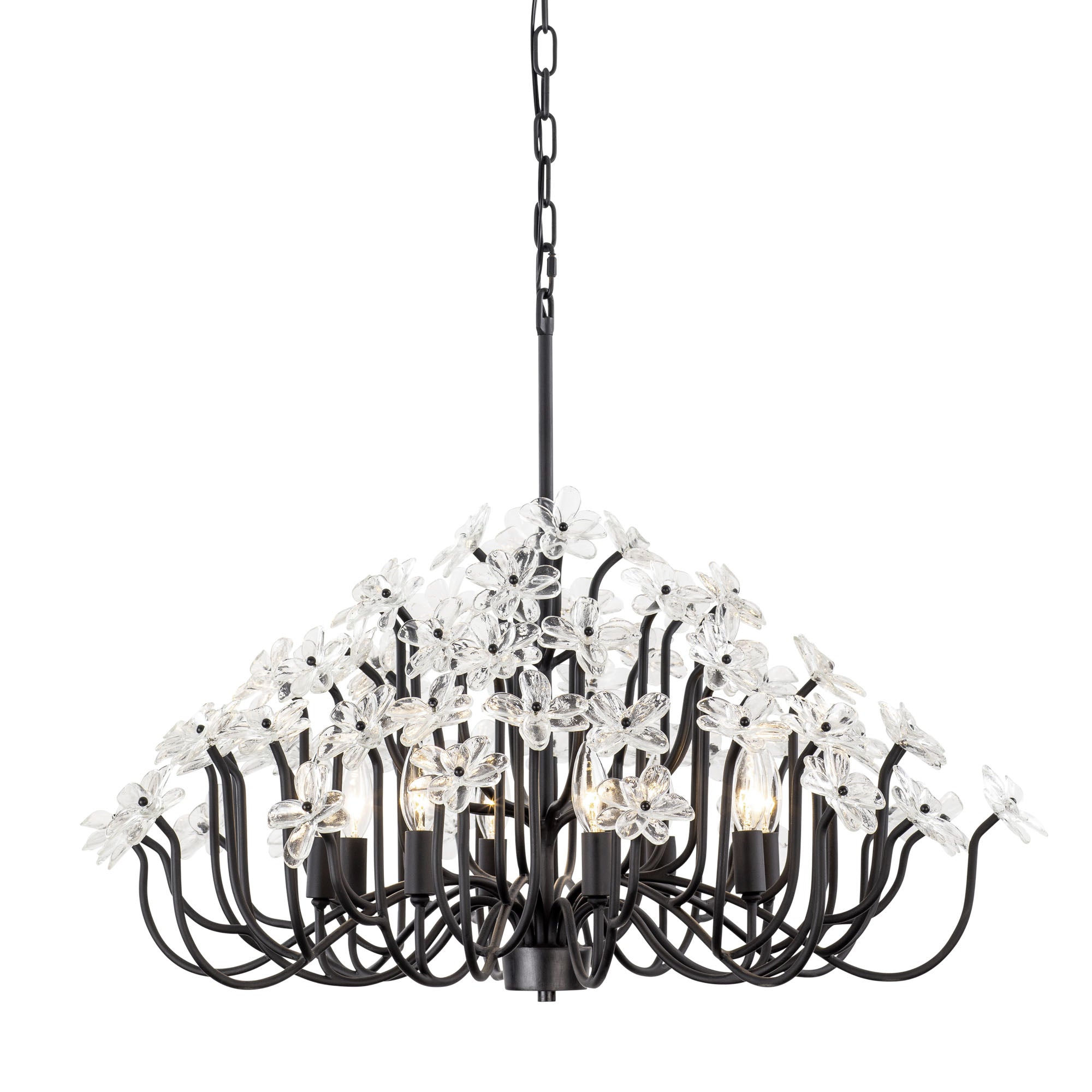 Wildflower 8 Light Chandelier - Matte Black