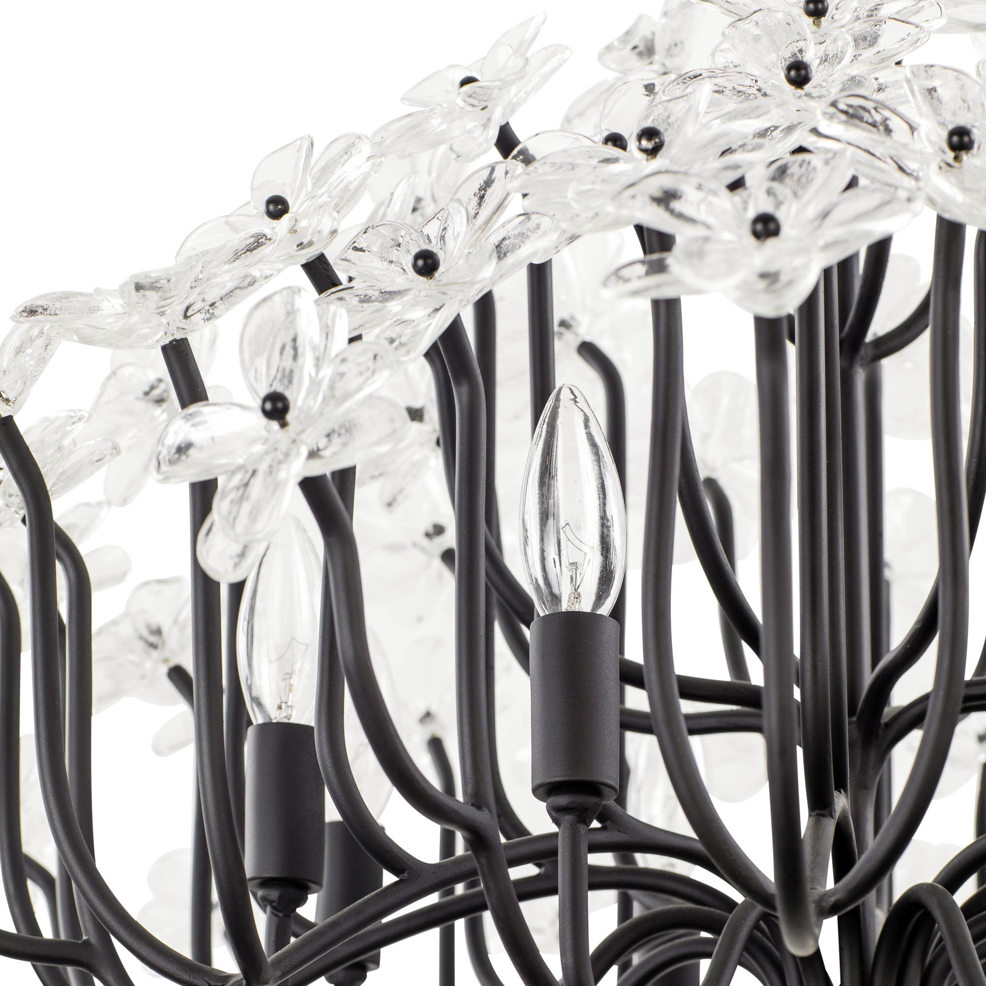 Wildflower 8 Light Chandelier - Matte Black