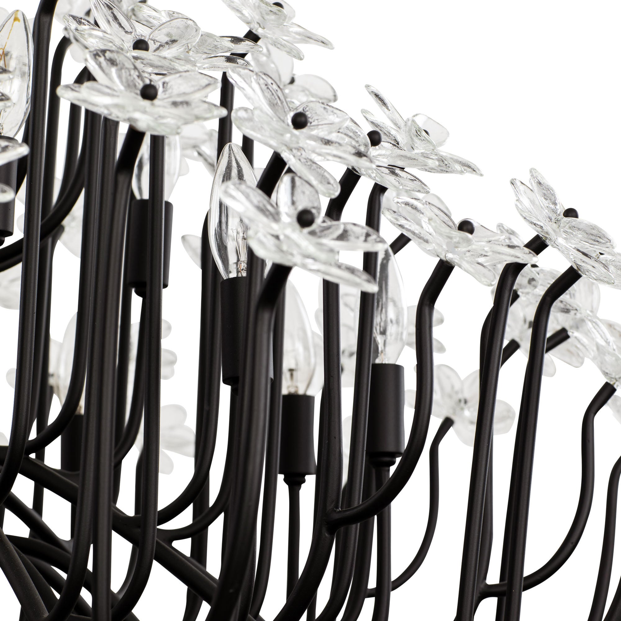Wildflower 15 Light Chandelier - Matte Black