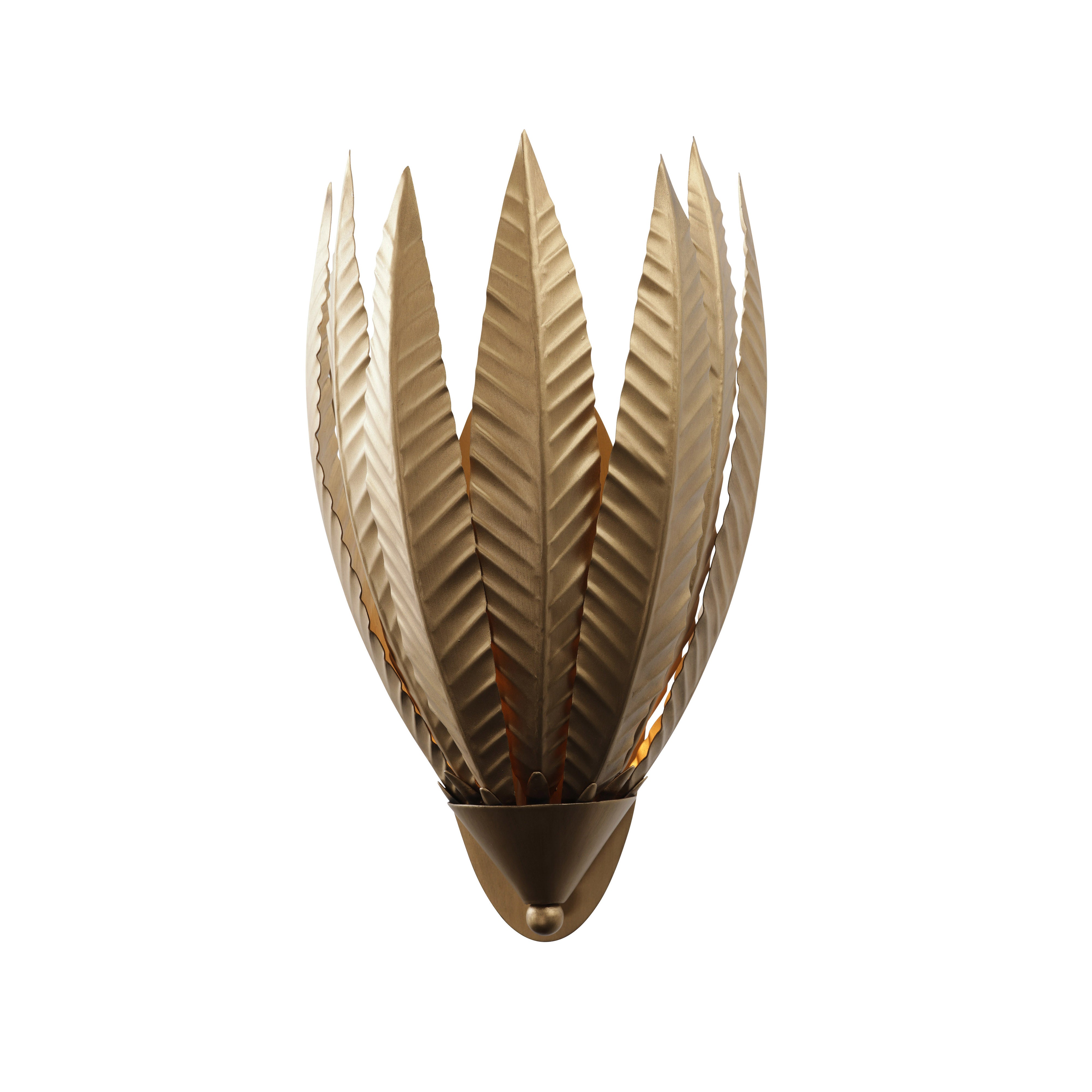 Zanara 1 light Sconce - Brass Kisser