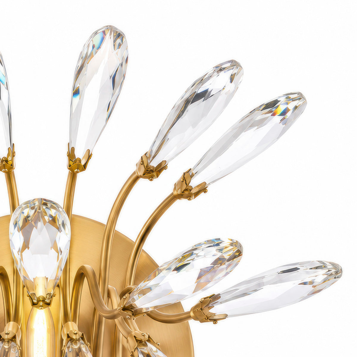 The Royal Treatment 1 Light Wall Sconce - Brass Kisser